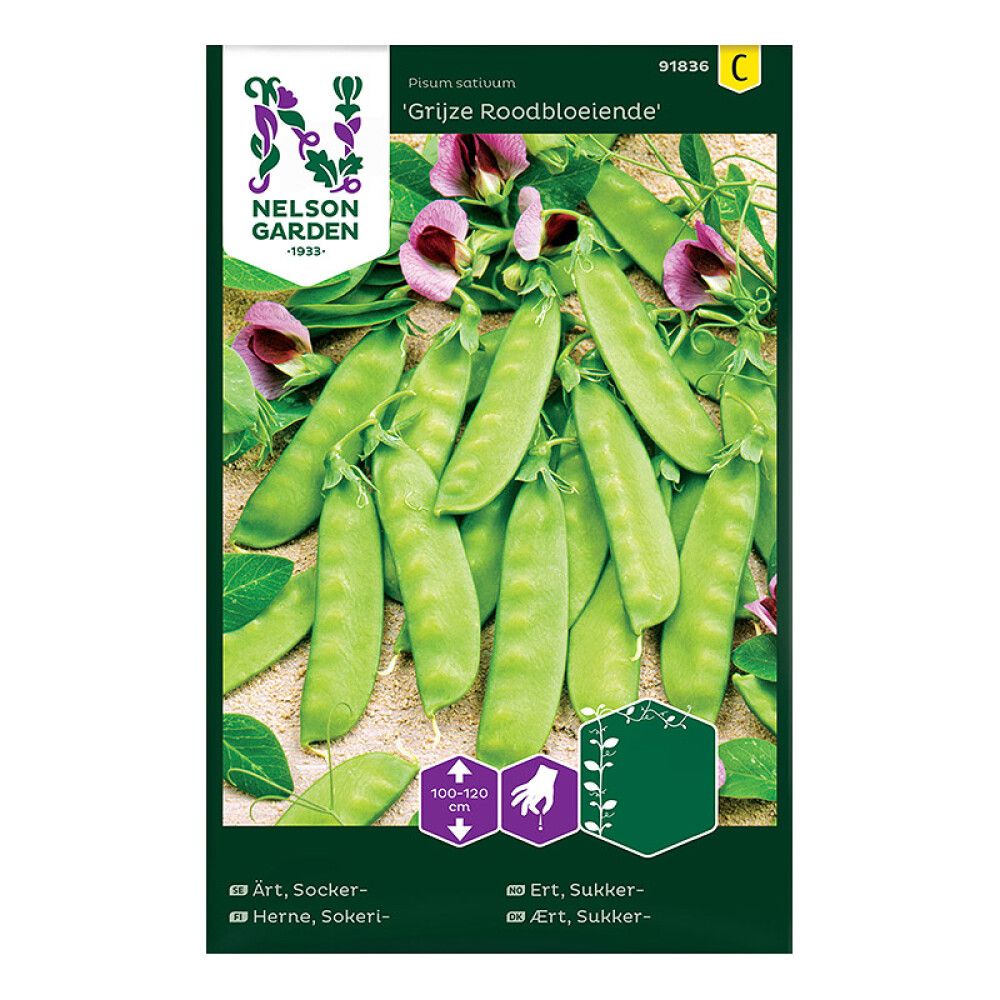 Sokeriherne Pisum sativum Grijze Roodbloeiende