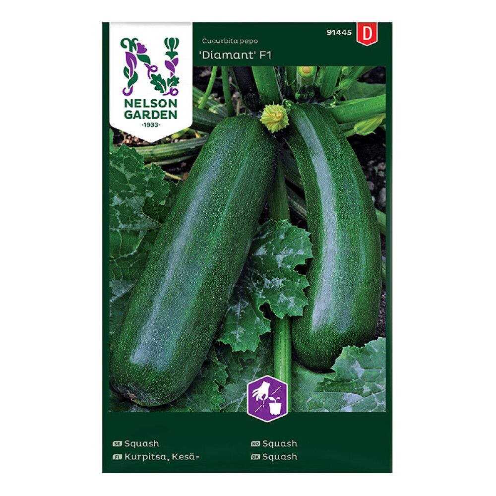 Kesäkurpitsa Nelson Garden Diamant