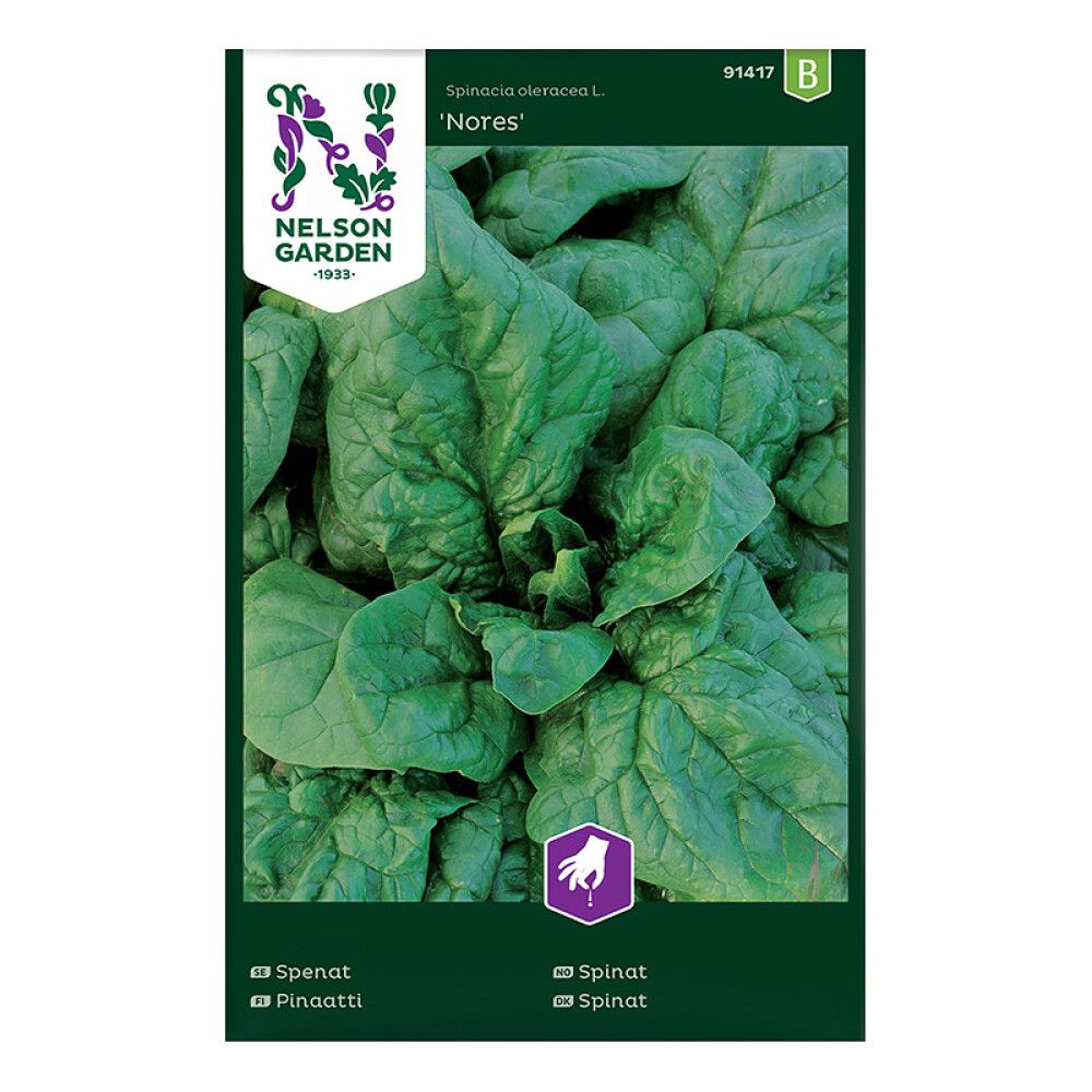 Pinaatti Nelson Garden Nores