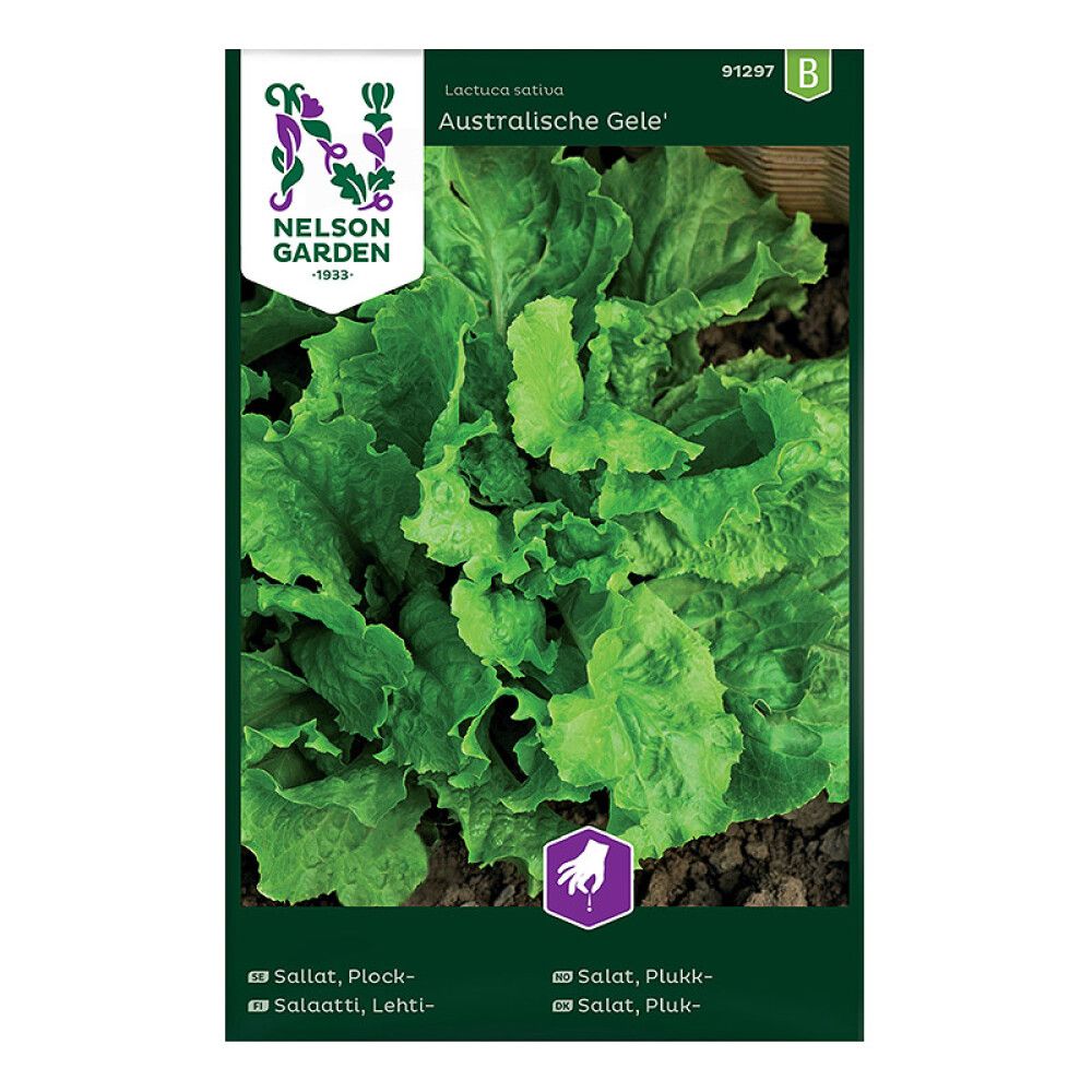 Lehtisalaatti Nelson Garden Australische Gele