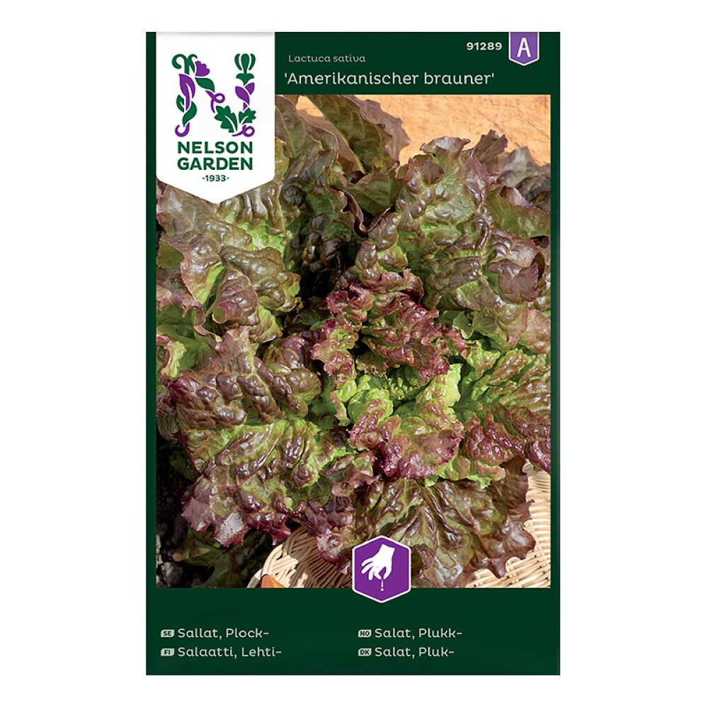 Lehtisalaatti Nelson Garden Amerikanischer brauner