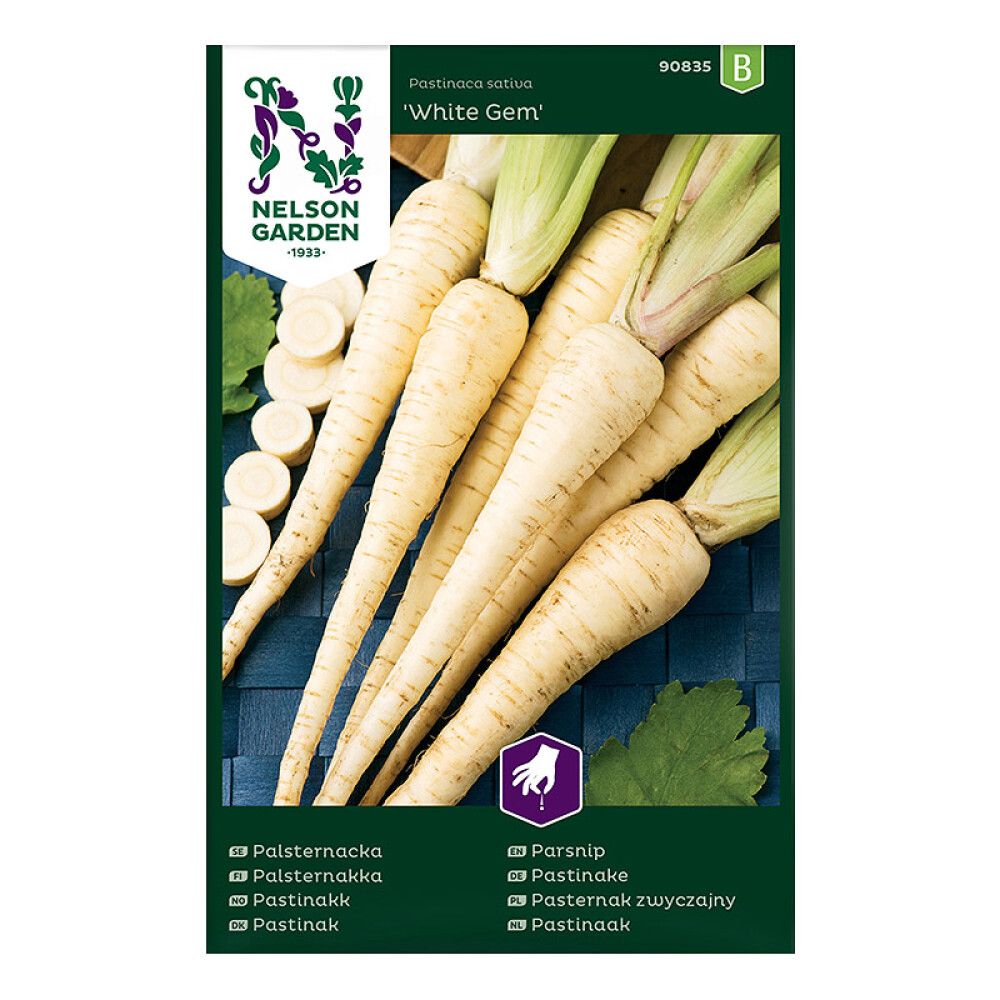 Palsternakka Nelson Garden White Gem