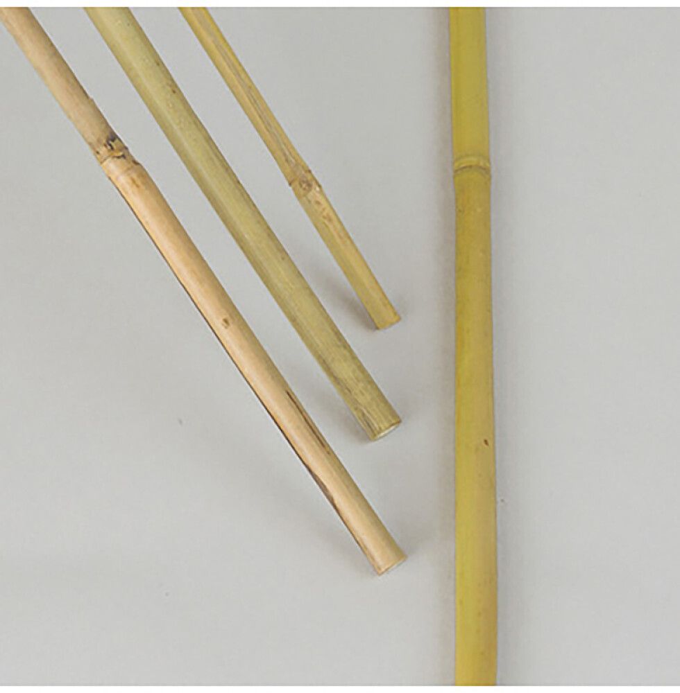 Kukkakeppi bambu 200 cm 3 kpl