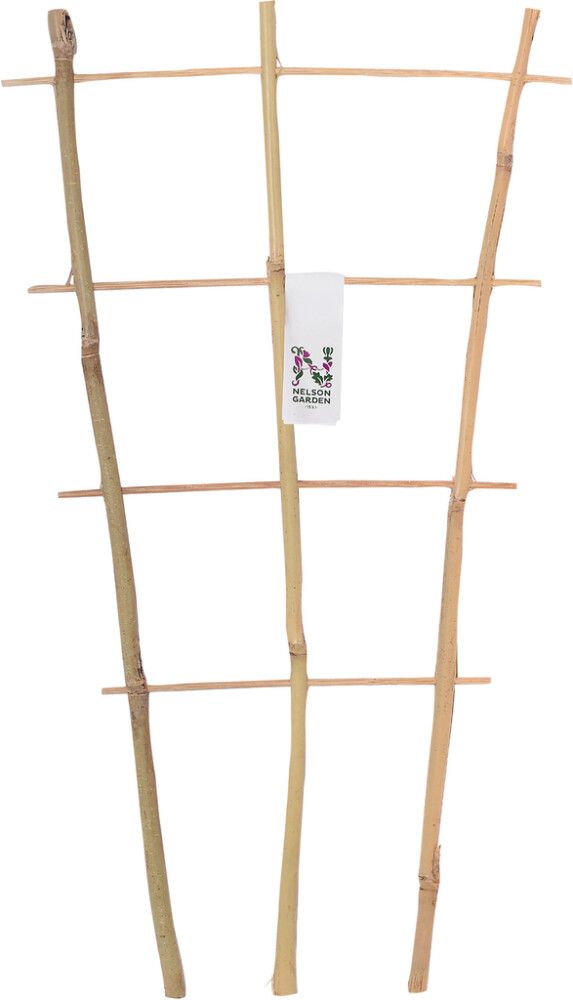 Ruukkusäleikkö bambu 60 cm