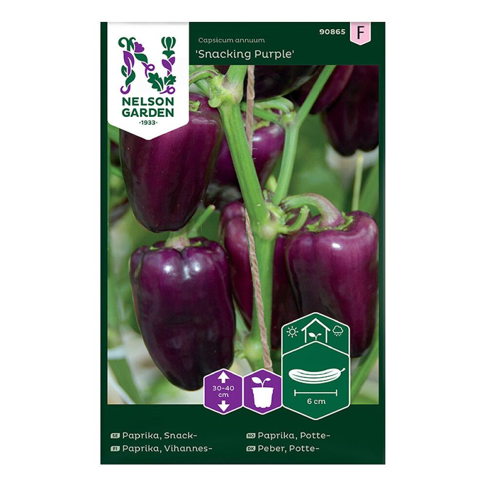 Paprika Nelson Garden Snacking Purple