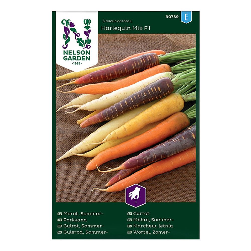 Kesäporkkana Nelson Garden Harlequin Mix
