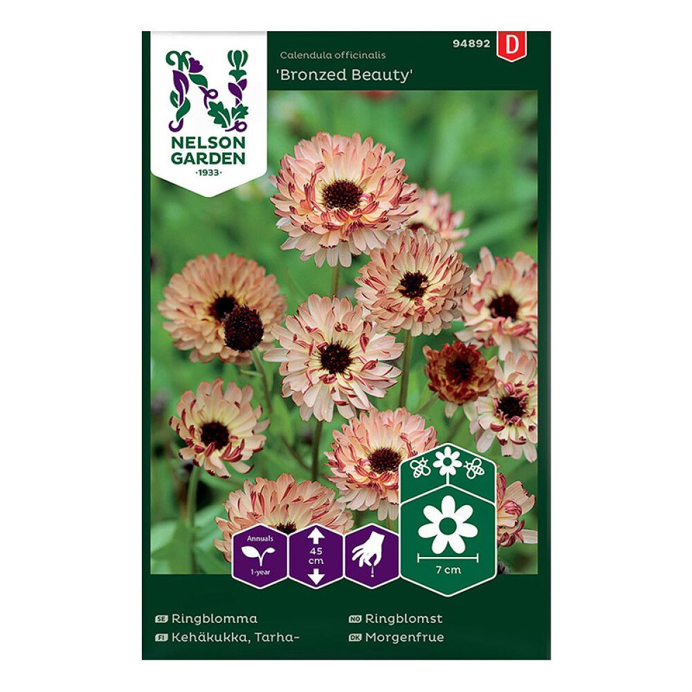 Tarhakehäkukka Nelson Garden Bronzed Beauty