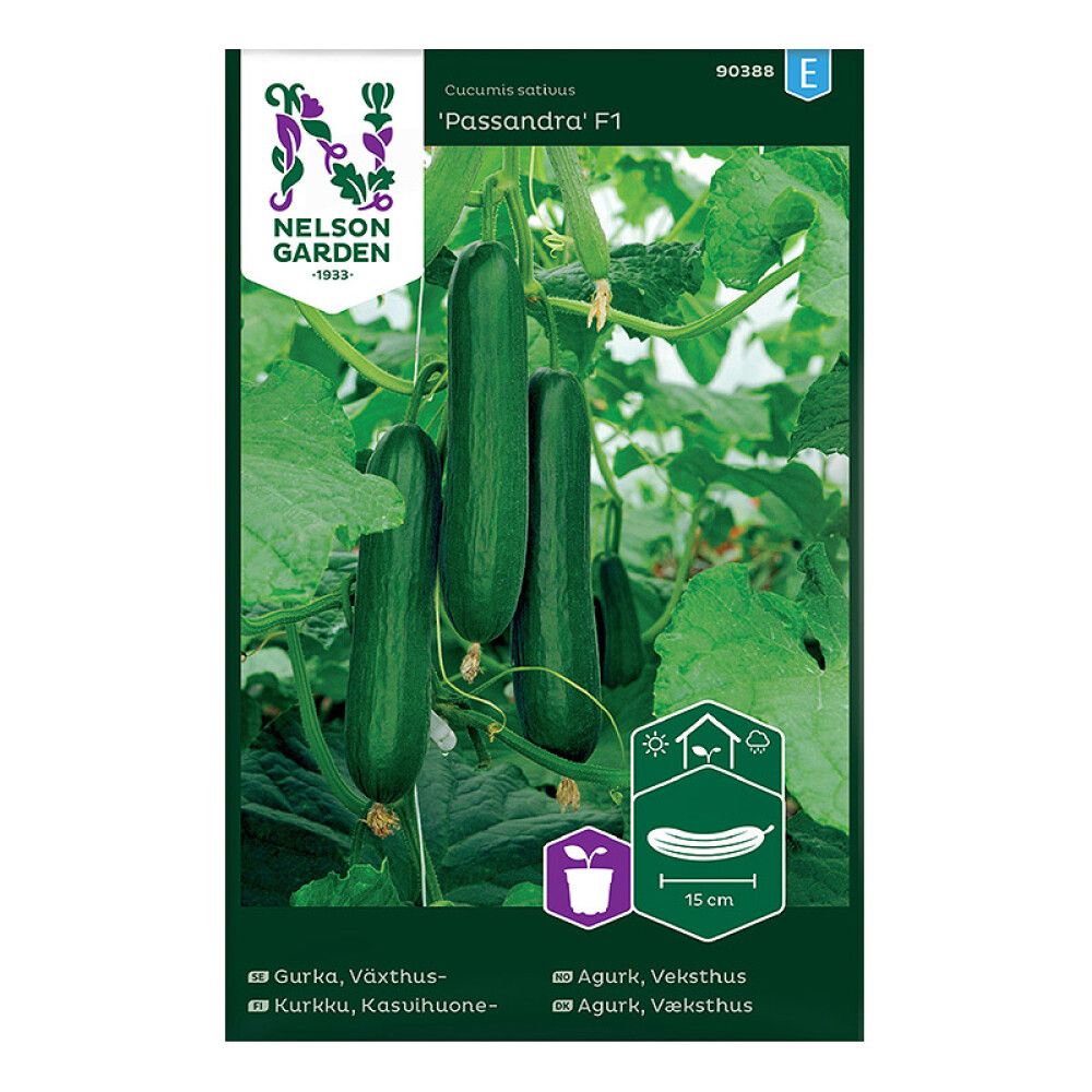 Kasvihuonekurkku Nelson Garden Passandra