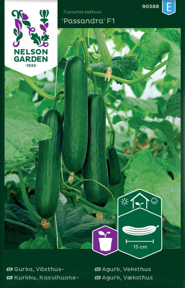 Kasvihuonekurkku Nelson Garden Passandra