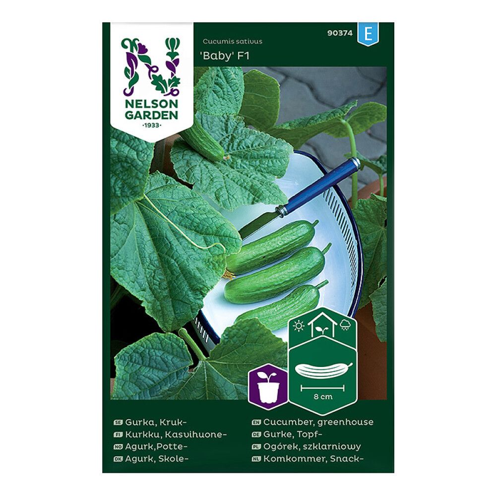 Kasvihuonekurkku Nelson Garden Baby