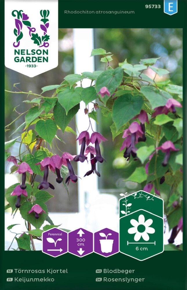 Keijunmekko Nelson Garden