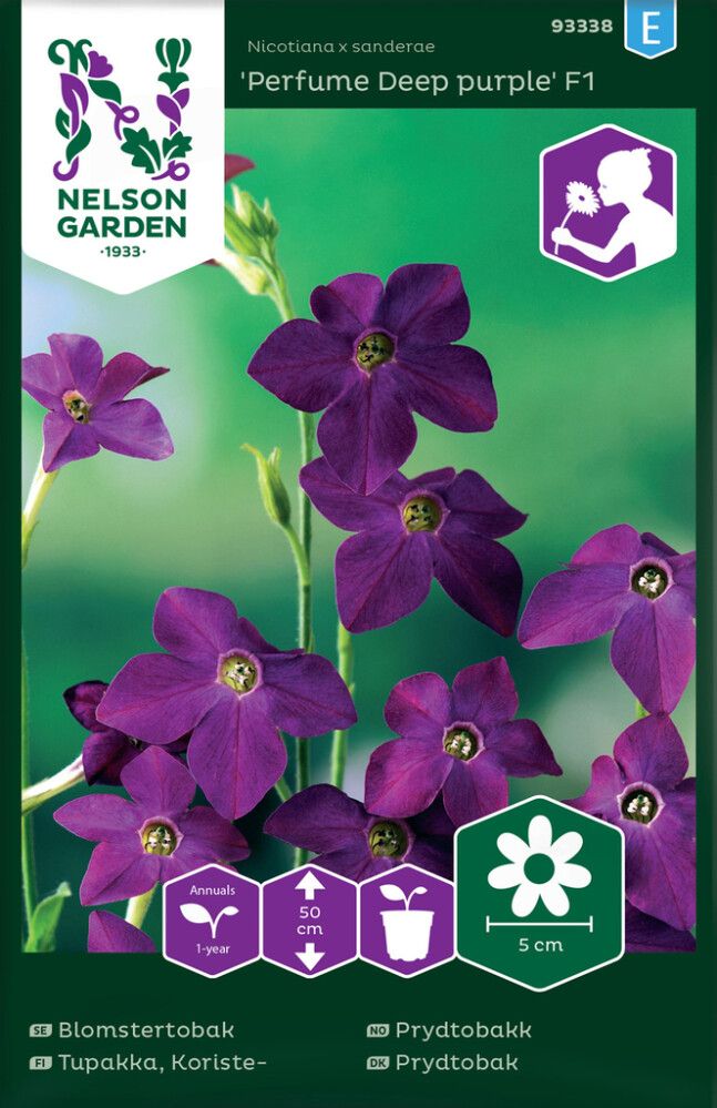 Koristetupakka Nelson Garden Perfume Deep purple