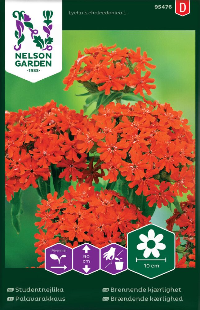 Palavarakkaus Nelson Garden