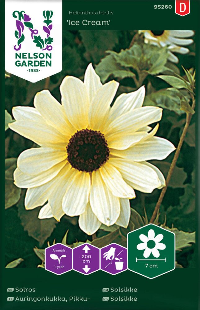 Pikkuauringonkukka Nelson Garden Ice Cream