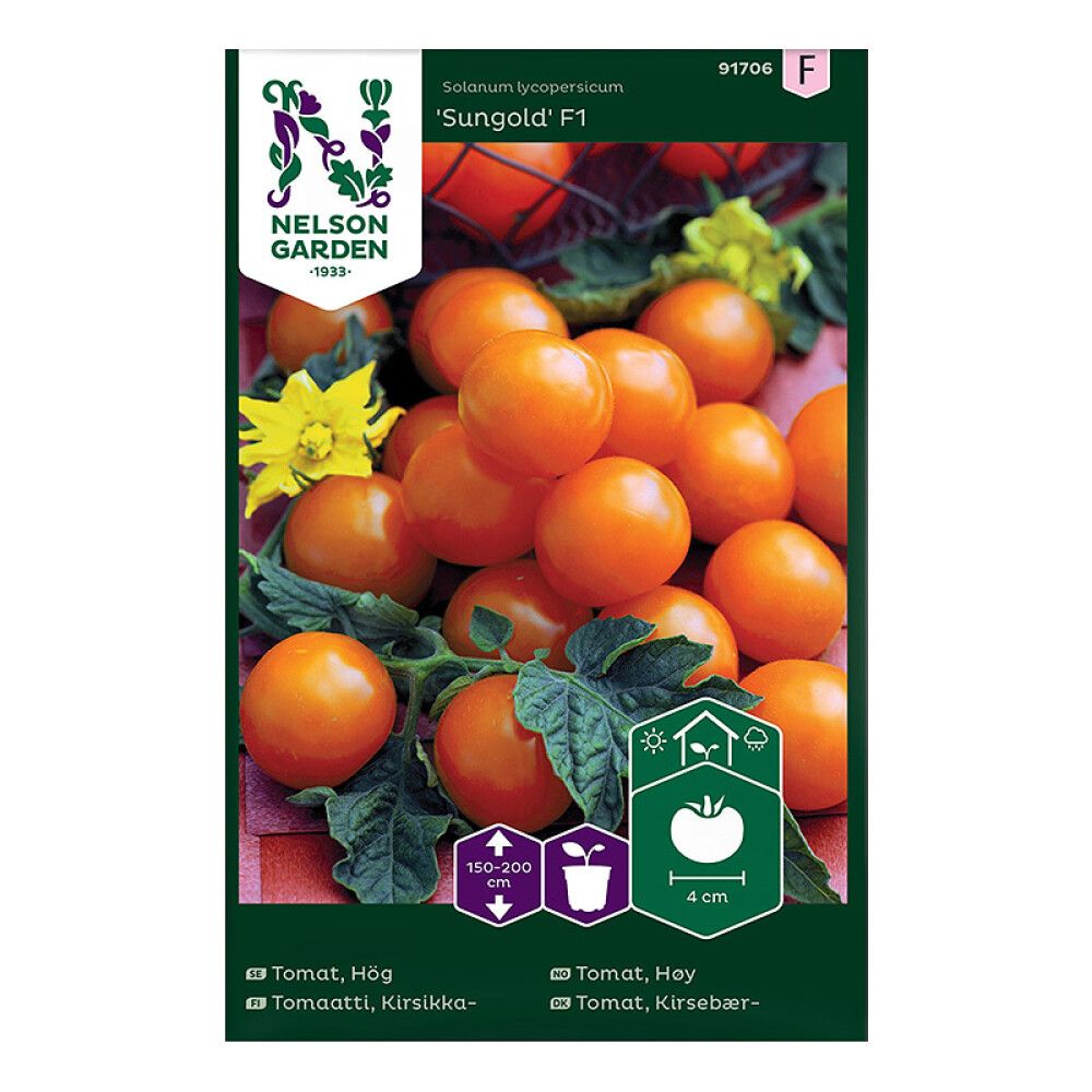 Kirsikkatomaatti Nelson Garden Sungold