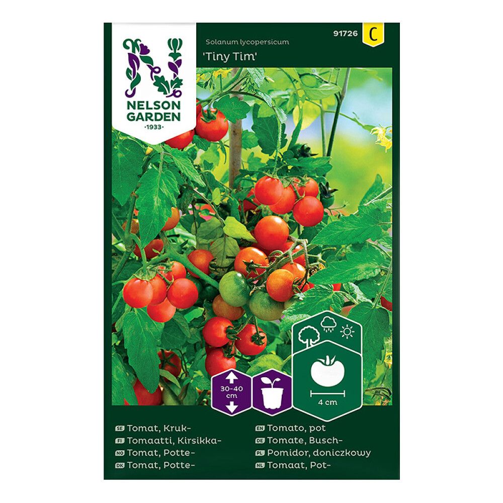 Kirsikkatomaatti Nelson Garden Tiny Tim