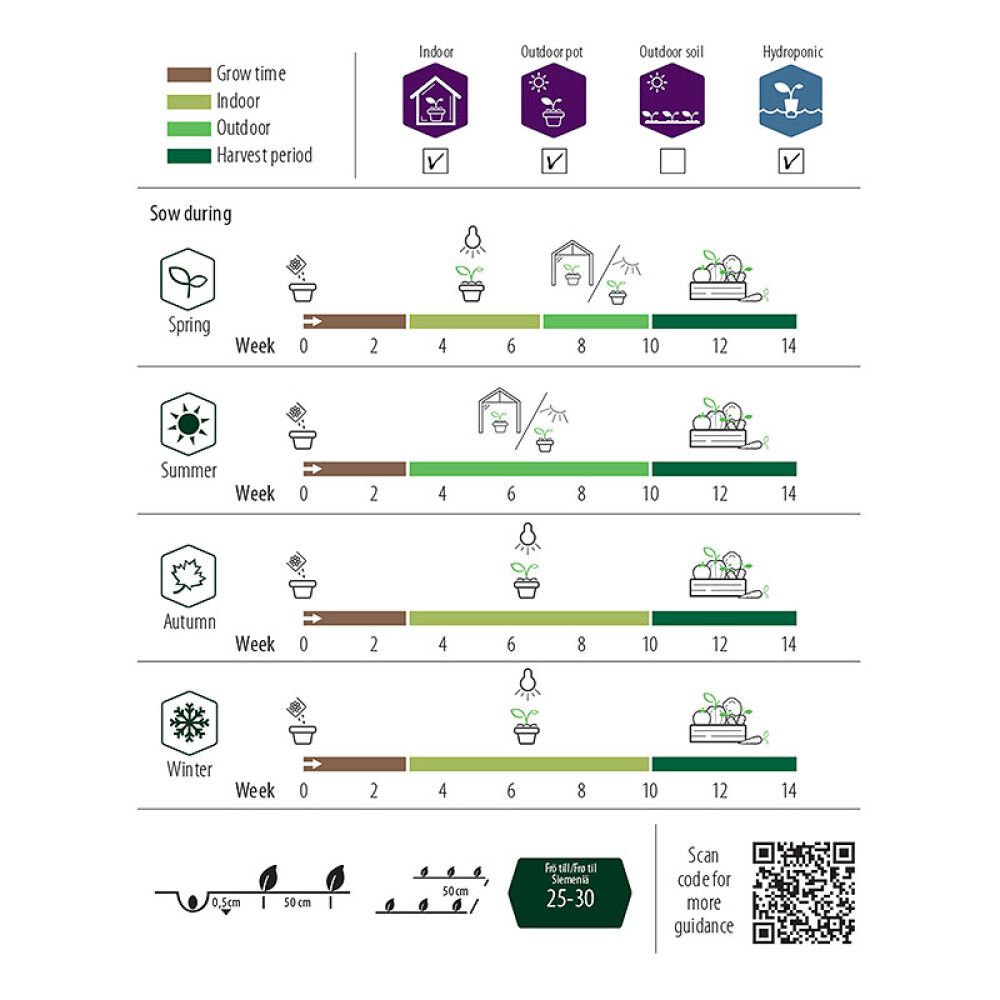 Kirsikkatomaatti Nelson Garden Tiny Tim