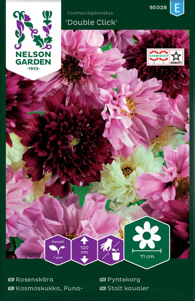 Punakosmoskukka Nelson Garden Double Click