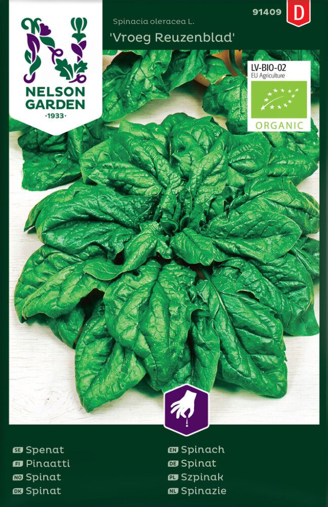 Pinaatti Nelson Garden Vroeg Reuzenblad