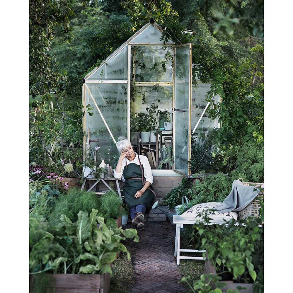 Kasvihuone Palram-Canopia Harmony 3,4 m² hopea