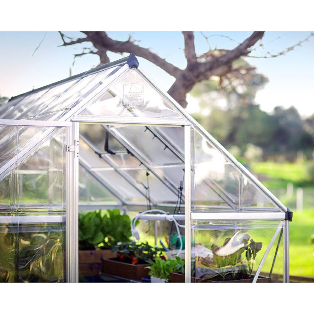 Kasvihuone Palram-Canopia Harmony 5,7 m² hopea