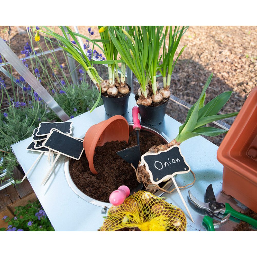 Kasvihuone Palram-Canopia Balance 11,9 m² hopea