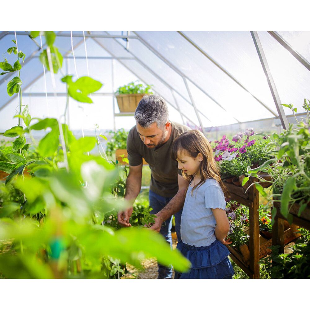 Kasvihuone Palram-Canopia Balance 14,3 m² hopea