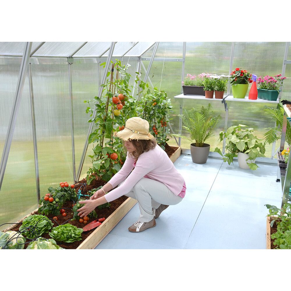 Kasvihuone Palram-Canopia Essence 9 m² hopea