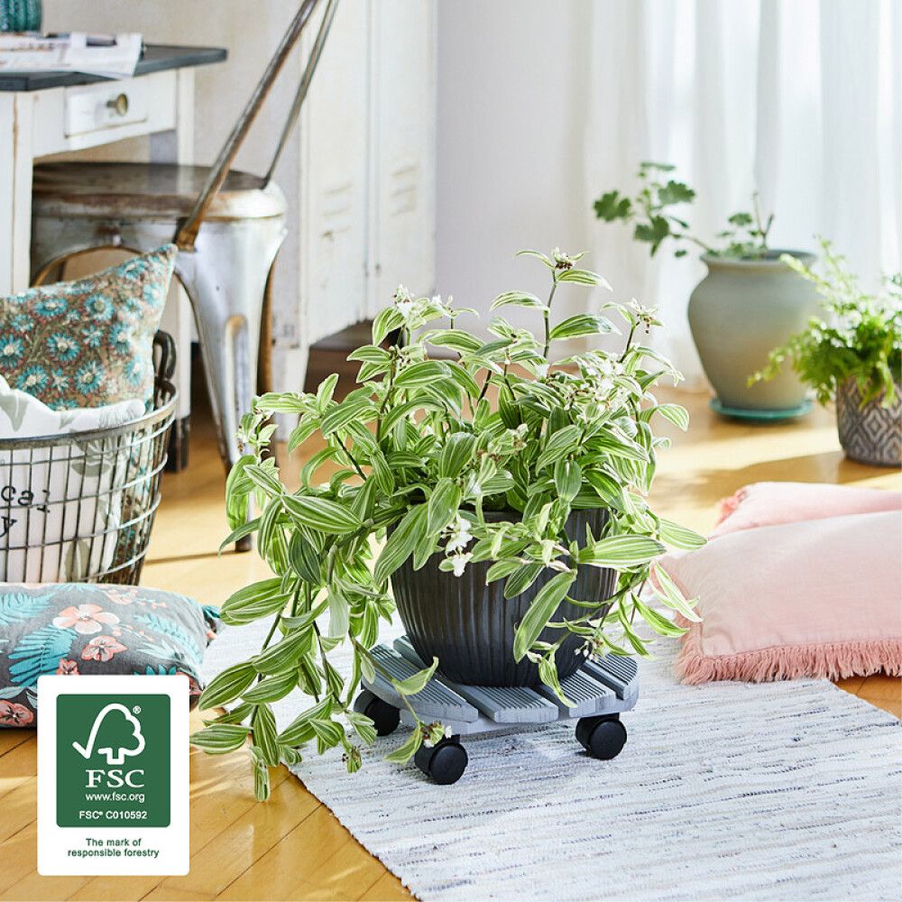 Ruukunalunen Creo 29 cm pyökki