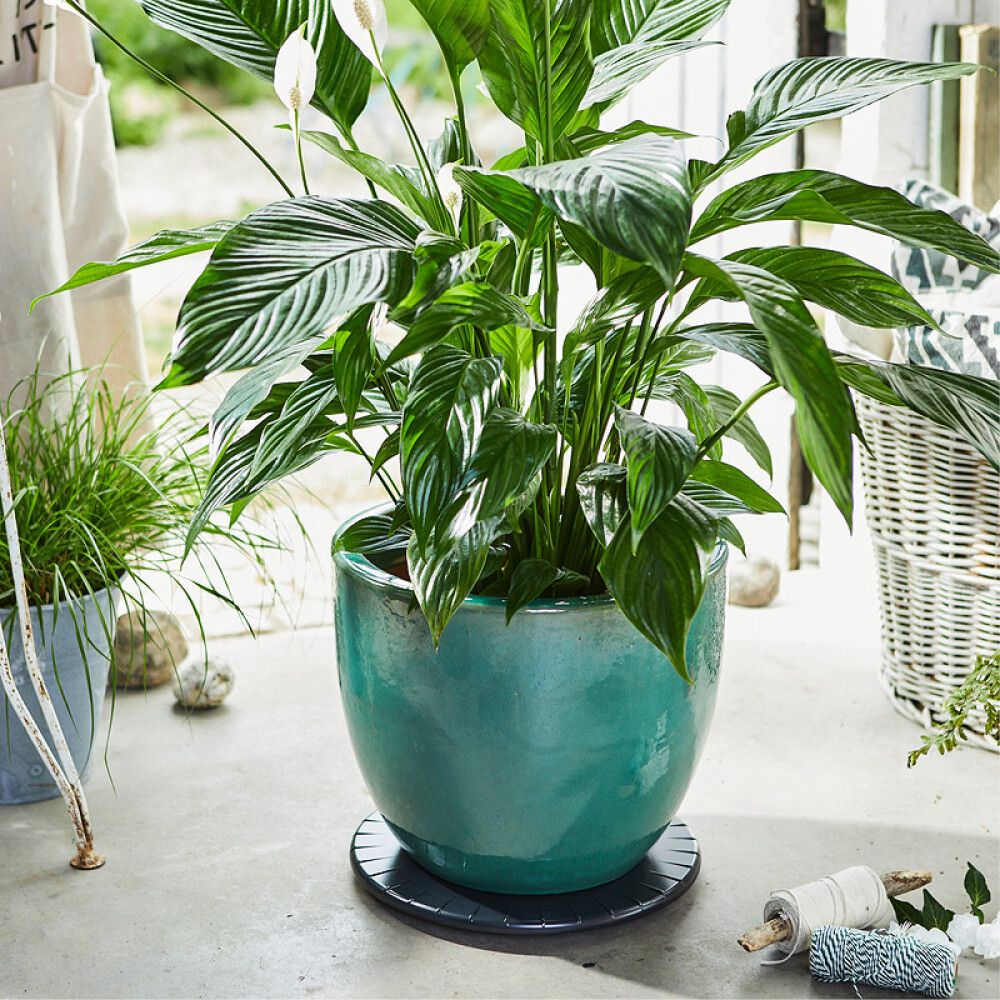 Ruukunalunen 30 cm musta muovi