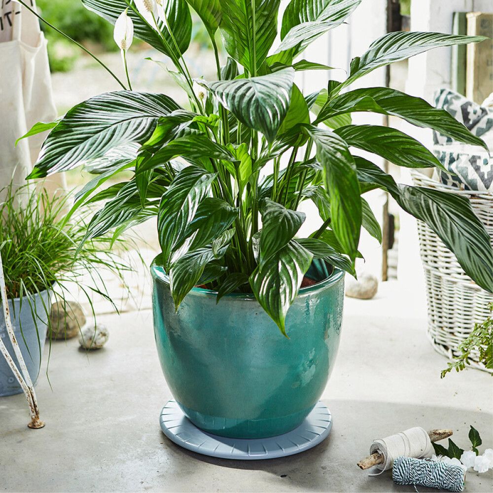 Ruukunalunen Ultraflat 30 cm hopea