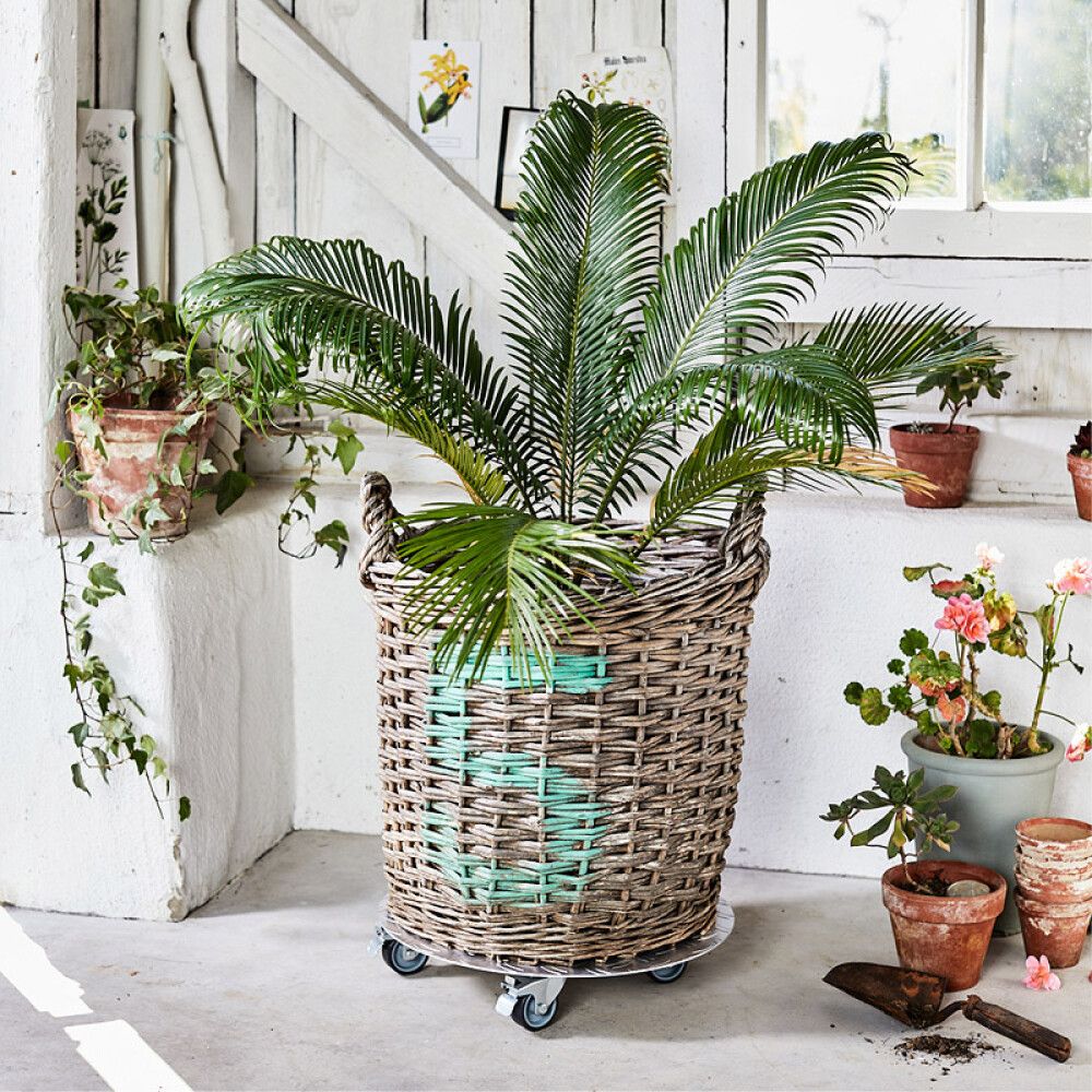 Ruukunalunen Alaska 38 cm