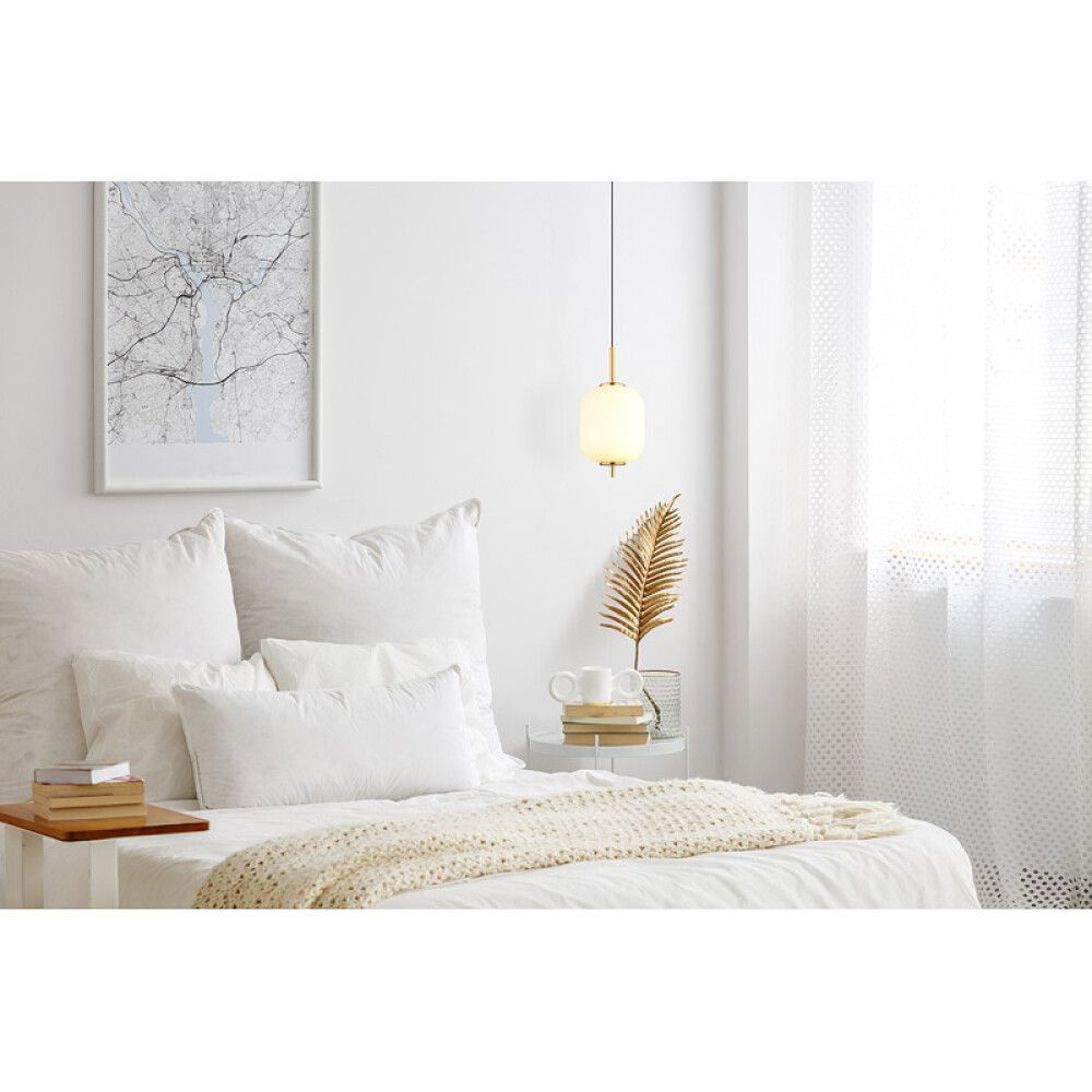 Riippuvalaisin Globo Ewald 1-os messinki