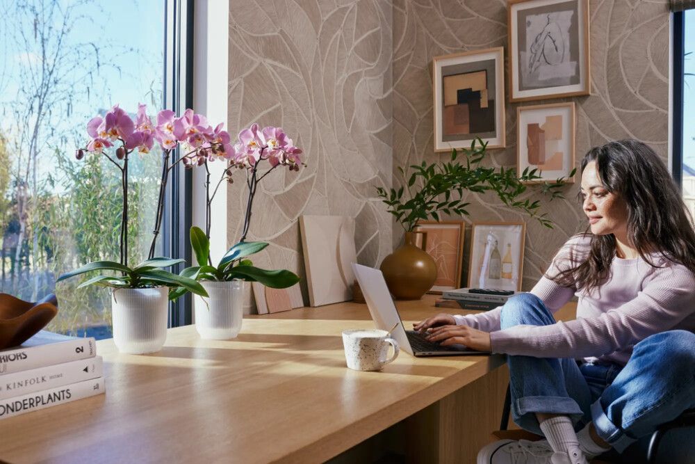 Orkidearuukku Elho Vibes Fold 12,5 cm kirkas