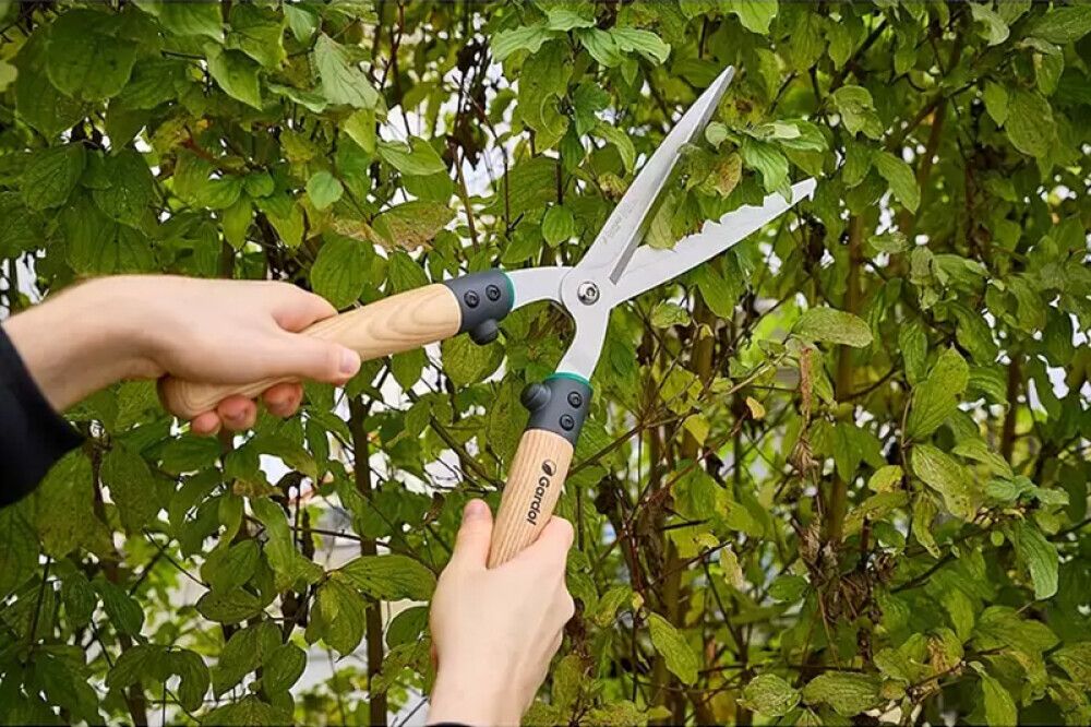 Pensassakset Gardol Premium GDH51