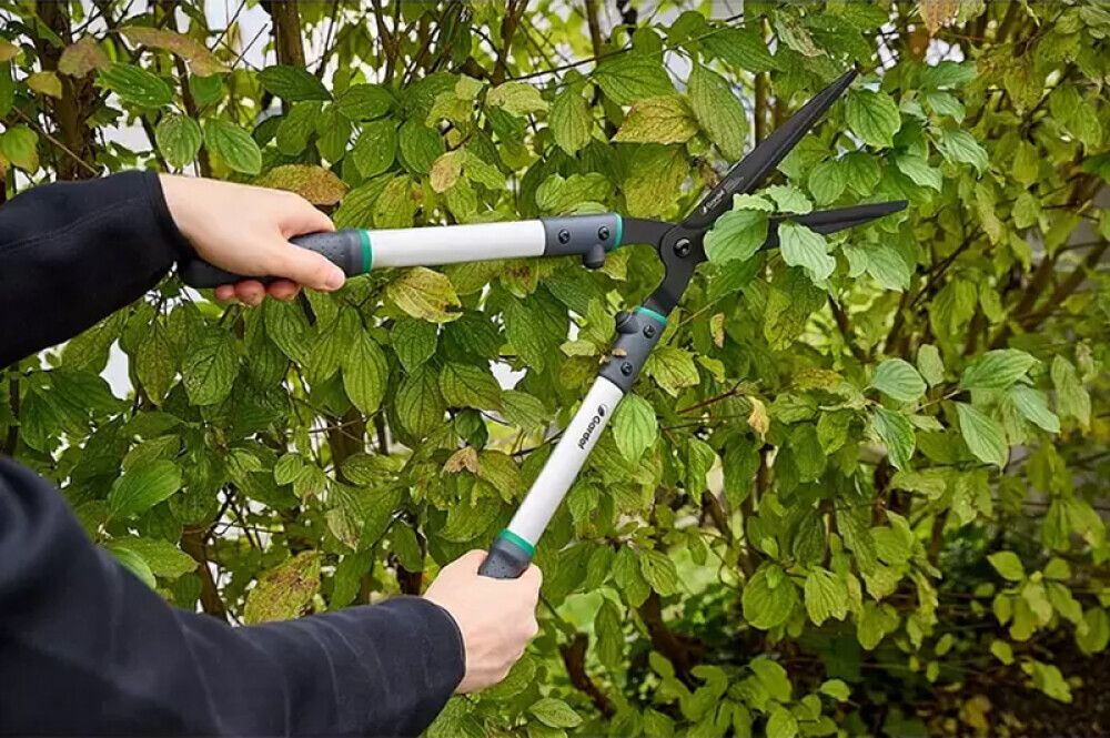 Pensassakset Gardol Comfort GDH65