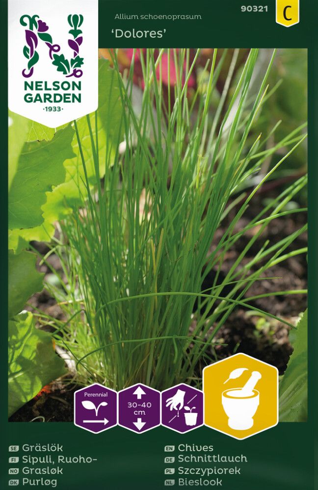 Ruohosipuli Nelson Garden Dolores