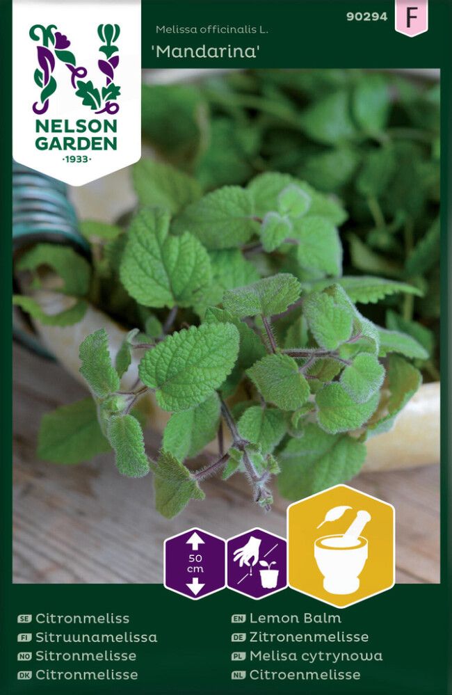 Sitruunamelissa Nelson Garden Mandarina