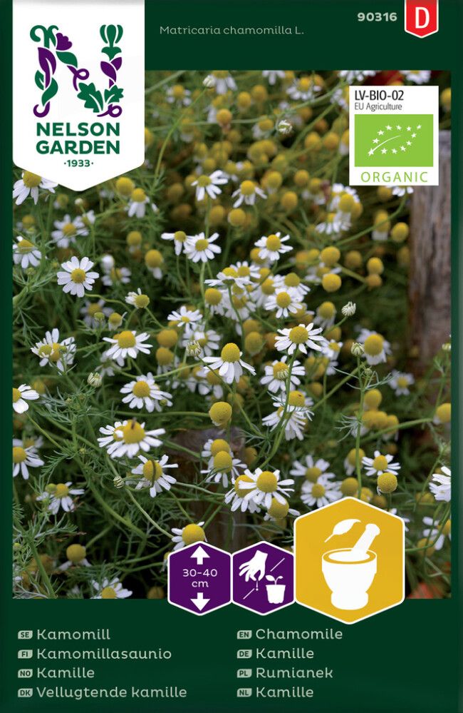 Kamomillasaunio Nelson Garden Luomu