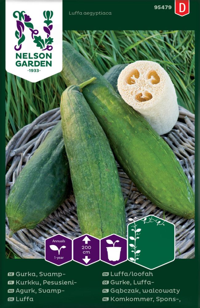 Pesusienikurkku Nelson Garden