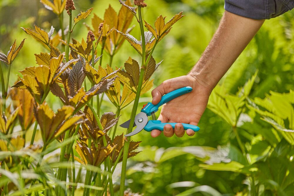 OKSASAKSET GARDENA EASYCUT