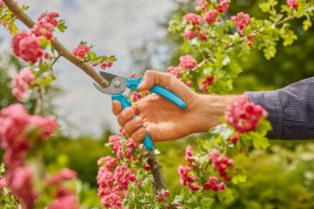 OKSASAKSET GARDENA EASYCUT