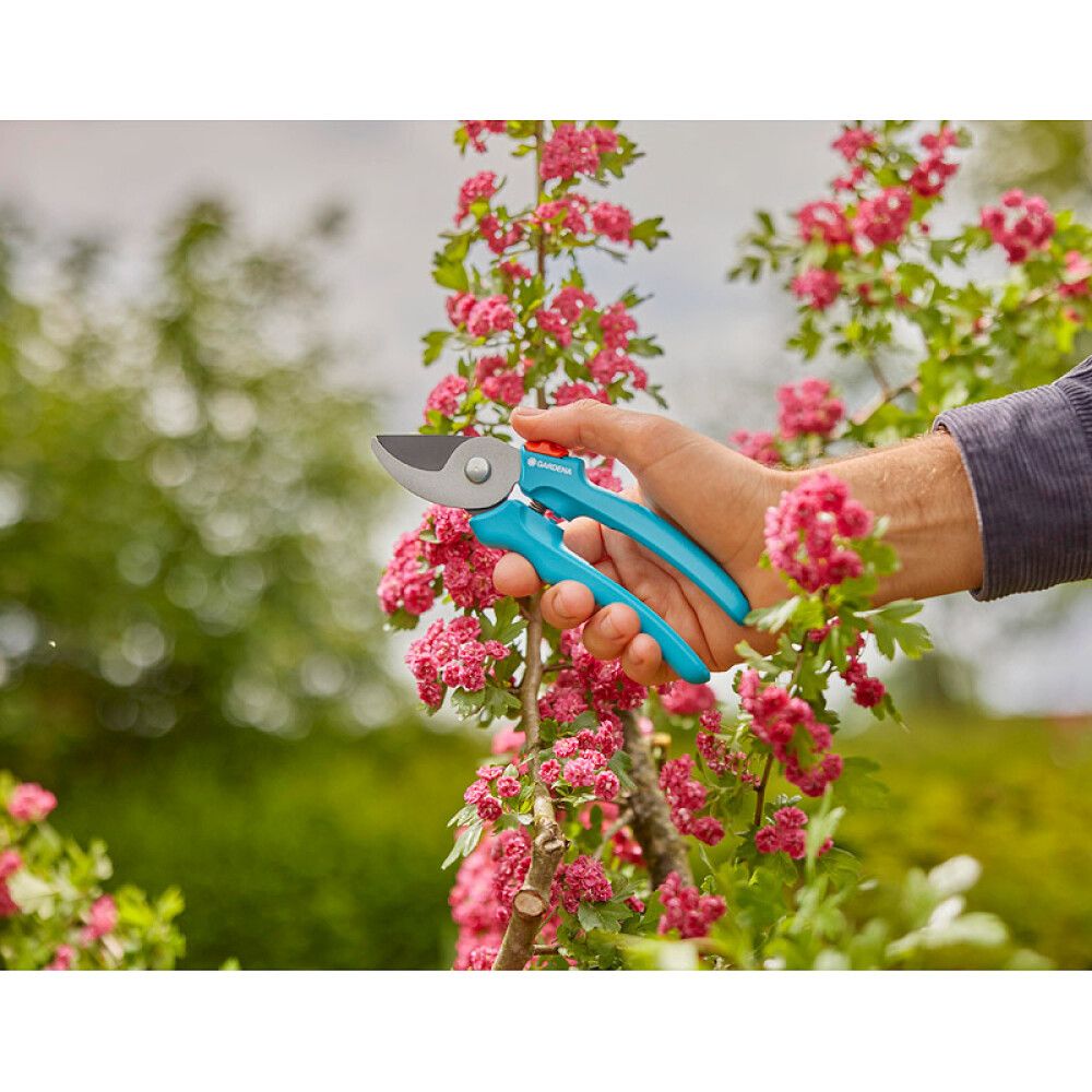 OKSASAKSET GARDENA EASYCUT