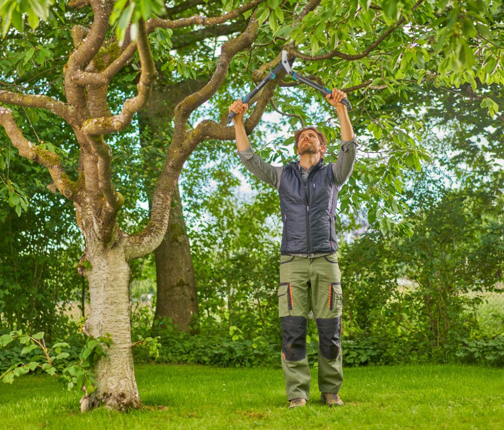 RAIVAUSSAKSET GARDENA ENERGYCUT PRO S