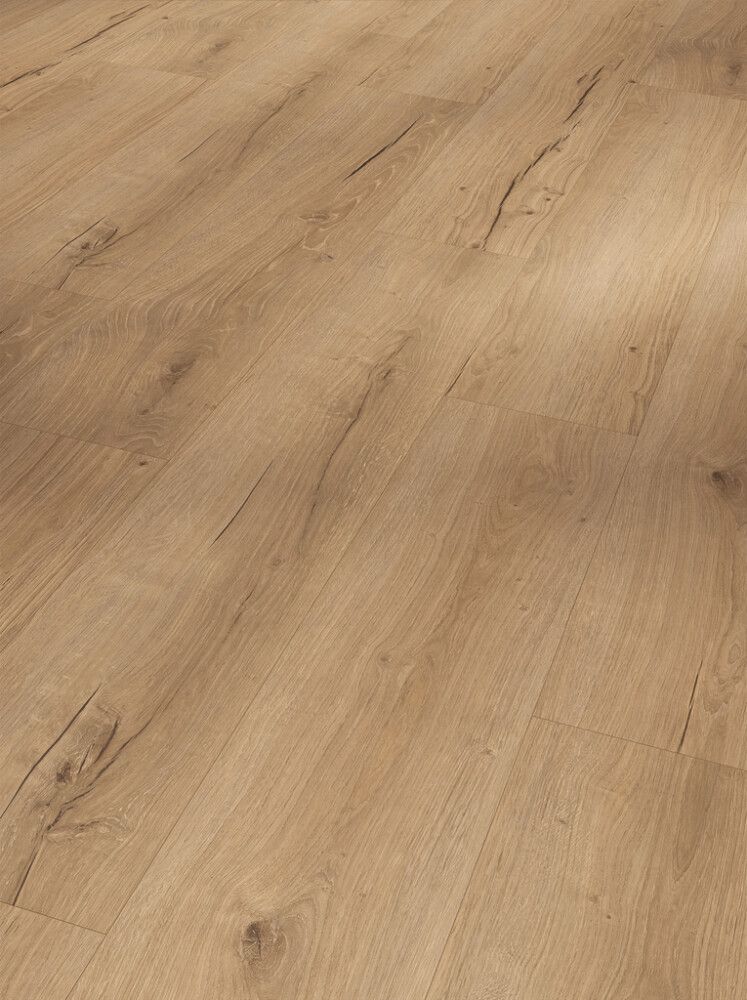 Vinyylilankku Parador Basic 5.3 SPC Oak Cambridge Natural