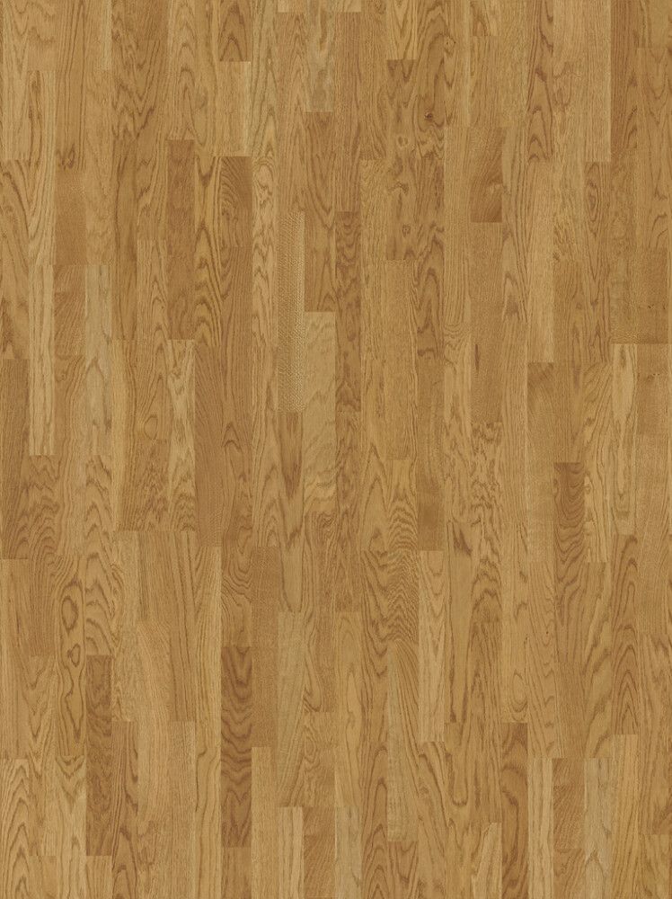 Parketti Parador Basic 11-5 Oak Malbec natural 3S