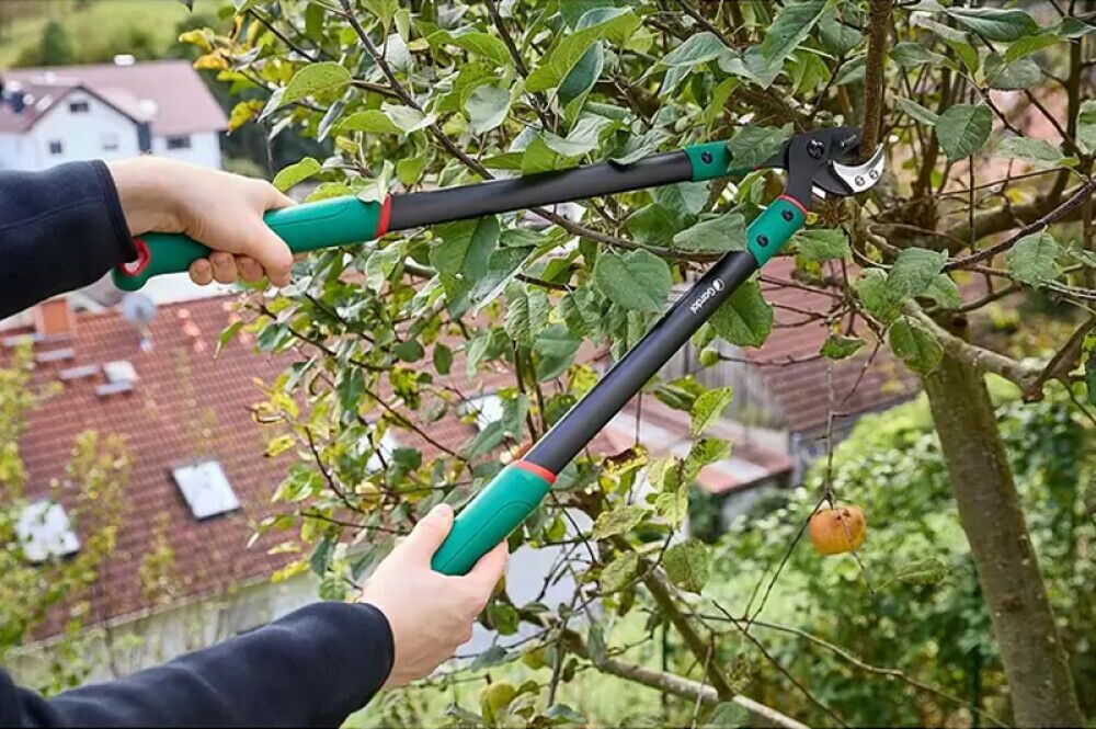 RAIVAUSSAKSET GARDOL CLASSIC GDA33