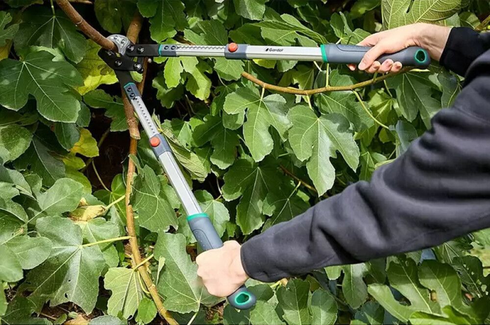 Pikkukuva 2