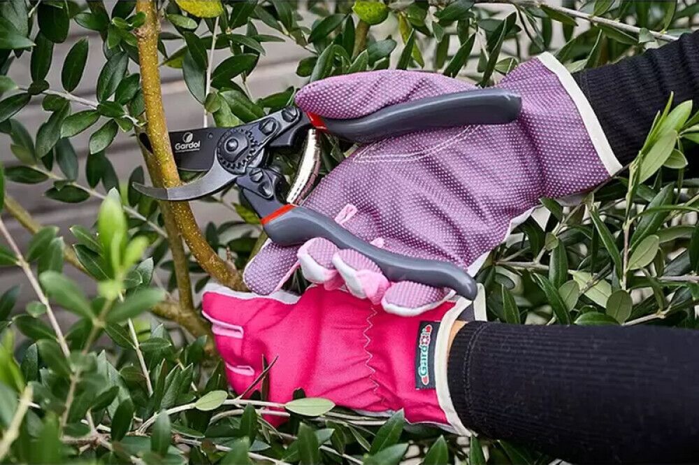 Puutarhasakset Gardol Premium GDB23