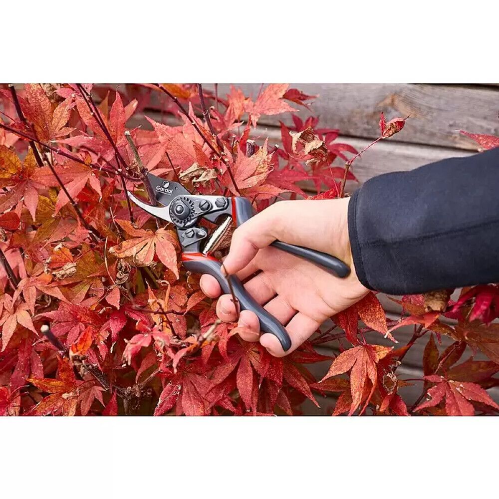 Puutarhasakset Gardol Premium GDB23